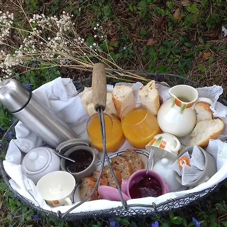 De Vigne En Auvergne Pour Escapade Romantique - Fr-1-582-74 Holiday home Langeac