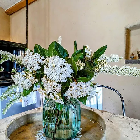 Casa di campagna De Vigne En Auvergne Pour Escapade Romantique - Fr-1-582-74