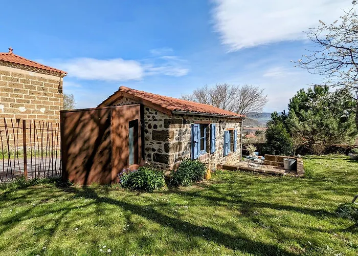 De Vigne En Auvergne Pour Escapade Romantique - Fr-1-582-74 *