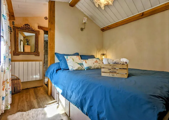 De Vigne En Auvergne Pour Escapade Romantique - Fr-1-582-74 * Langeac